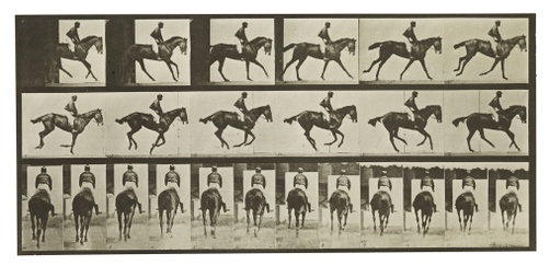 A series of black and sepia-toned photos of a side and back view of a person riding a horse.