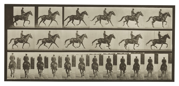 A series of sepia-toned photos of a side and back view of a person riding a horse.