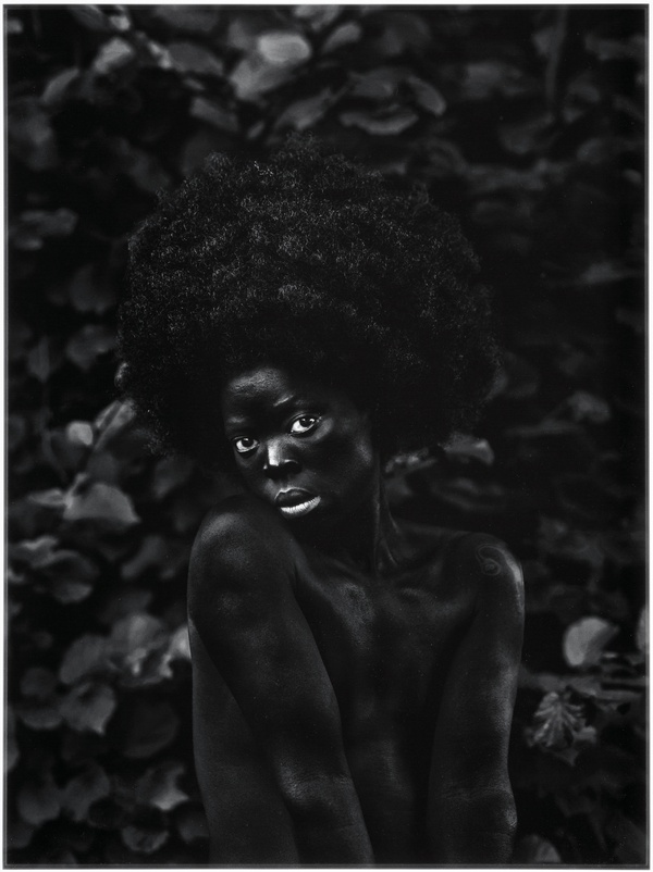 A black and white photograph of a nude, Black individual with an afro posing in front of a flora.