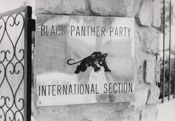 A black and white image of a metal plaque with a black panther illustrated in the center and the words “BLACK PANTHER PARTY” above and “INTERNATIONAL SECTION” below.